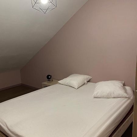 Appartement 14 Couchages Vallee Du Gresivaudan La Buissiere  Exteriör bild