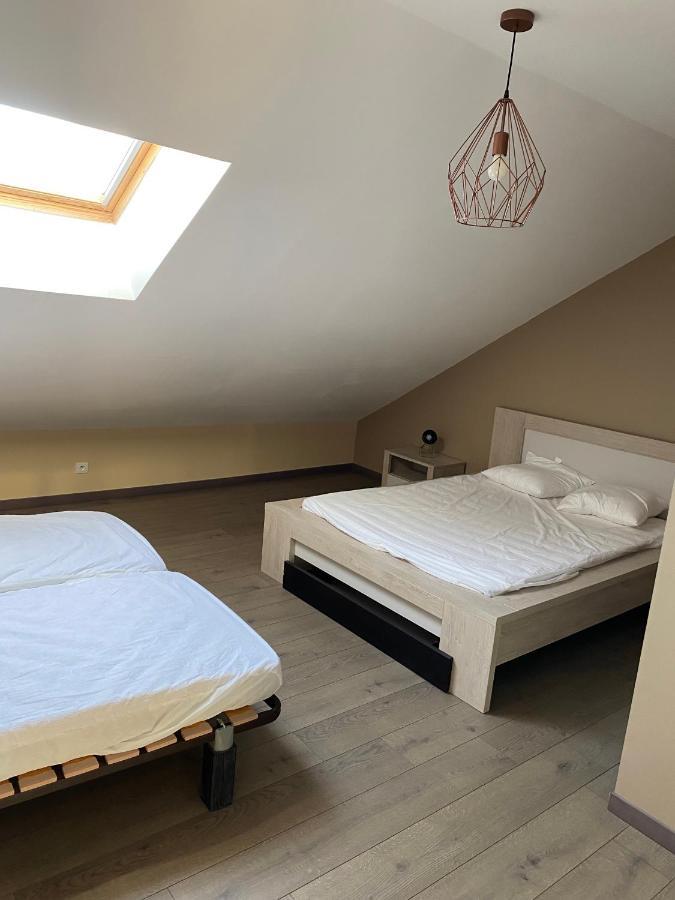 Appartement 14 Couchages Vallee Du Gresivaudan La Buissiere  Exteriör bild